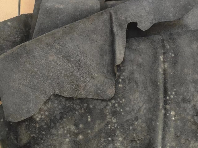 牛皮發霉了